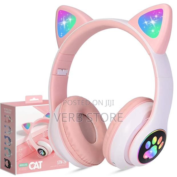 Cat Ear Headphones - main view