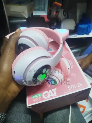 Cat Ear Headphones