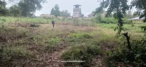 50 by 100 Plot