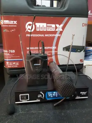 Professional Max Wireless Microphone