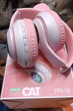 Fancy Kid Bluetooth Headphones
