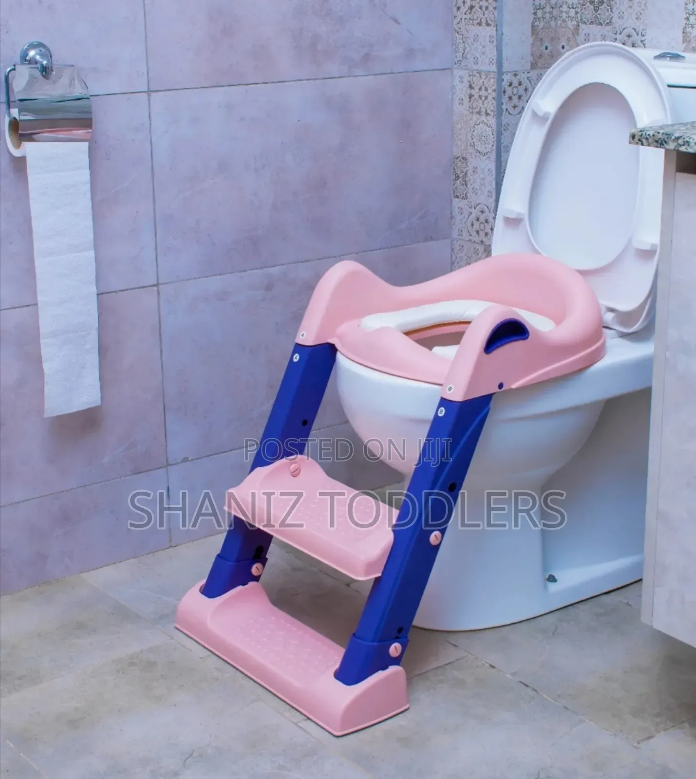 Potty Seat With Ladder