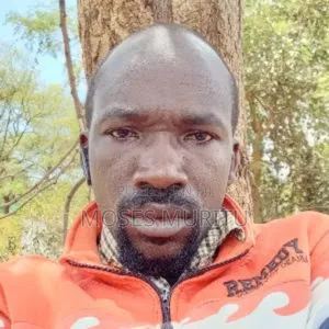 Moses Muritu Wangari