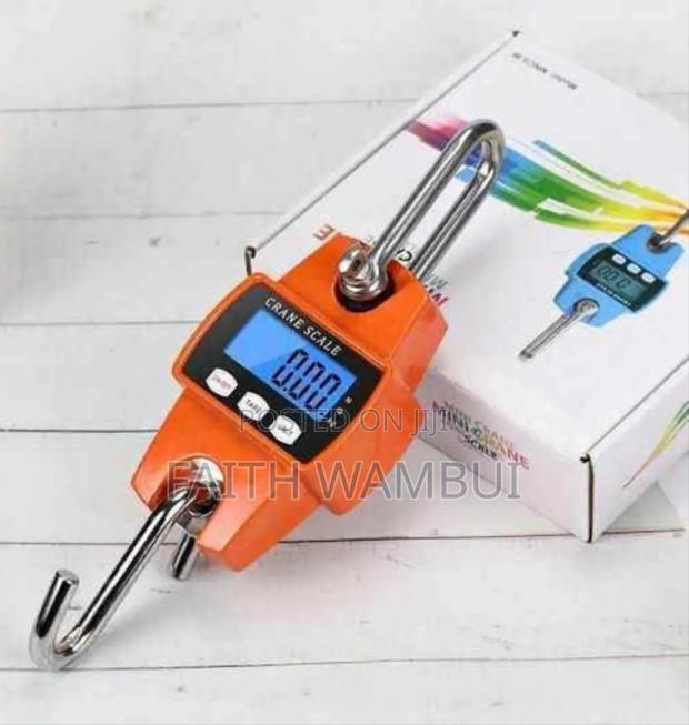 New Crane Scale 300kgs / Digital Weighing Machine - main view