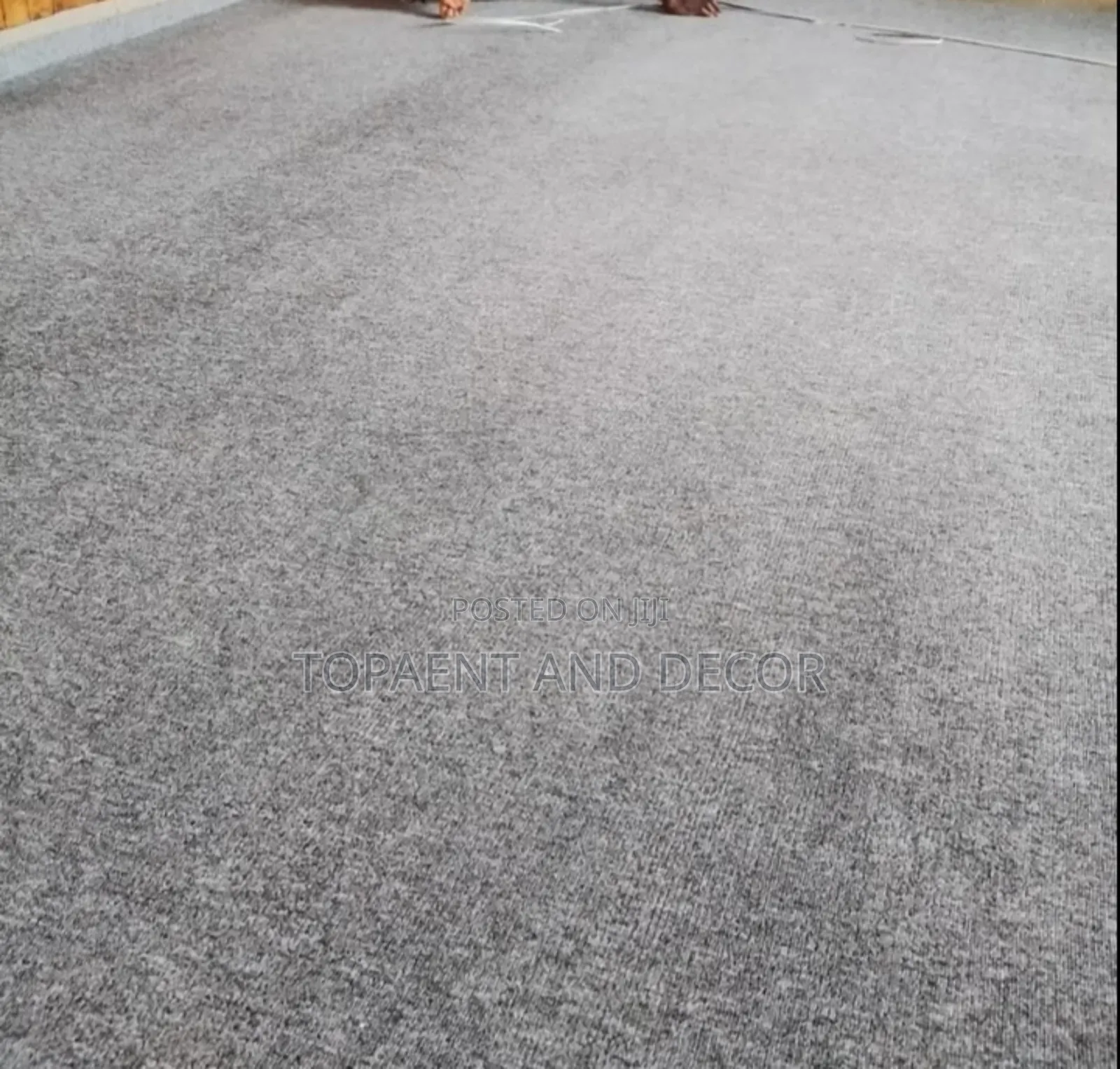 Pure Grey Delta Wall to Wall Carpet Cozy and Comfy