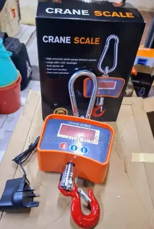 500 KGS Crane Scales