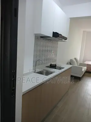 Furnished Studio Apartment in Rick Coart Road Near, Gate B for sale