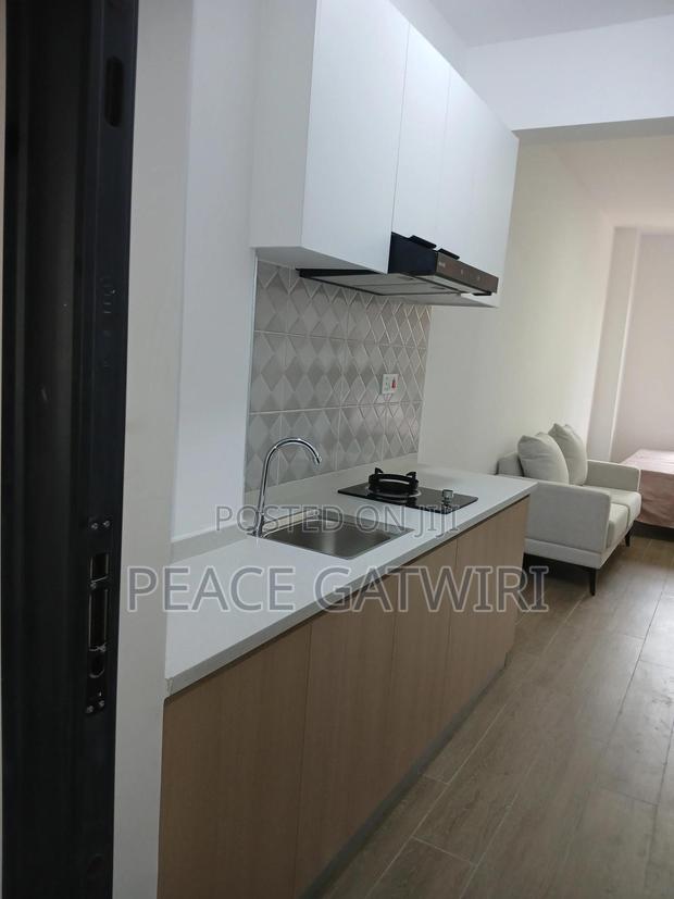 Furnished Studio Apartment in Rick Coart Road Near, Gate B for sale