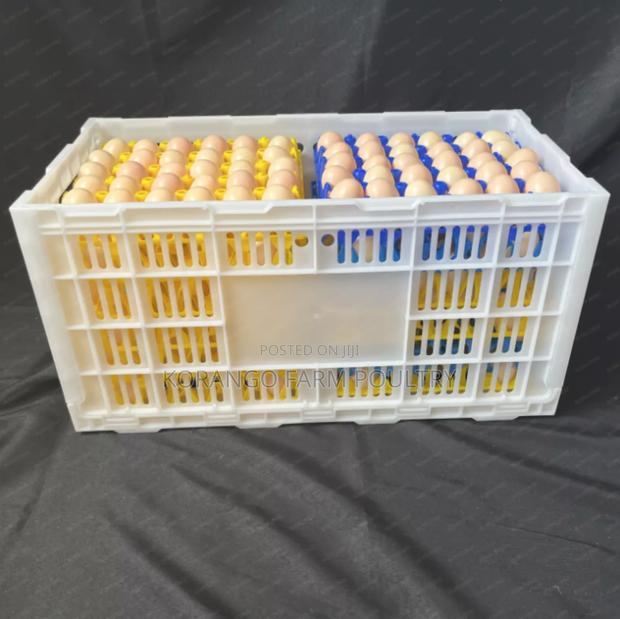 Chicken Eggs Carrier