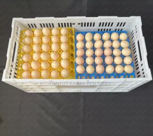 Chicken Eggs Carrier