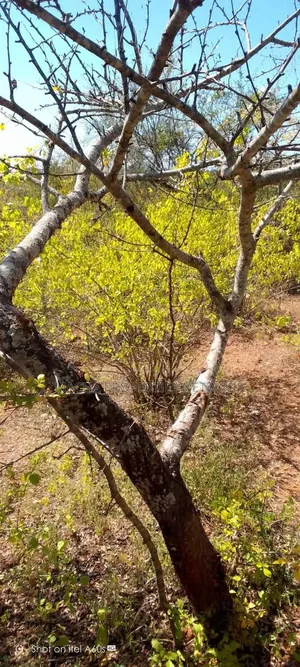 10 Acres at Kitui-Kyua Kwavonza