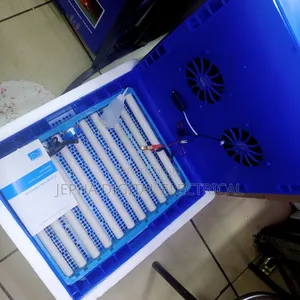 64 Egg Incubator
