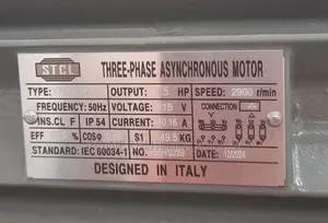 7.5hp Three Phase Stcl Italy Motor 2900rpm