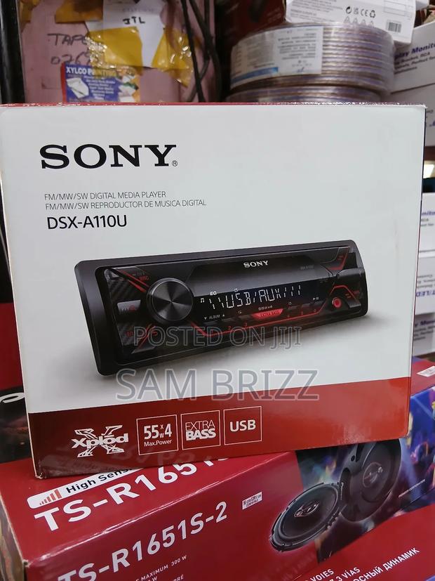 Sony A110u Radio - main view