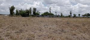 Plot for Sale at Malaa - main view