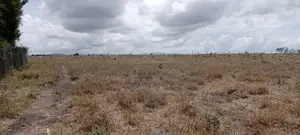 Vacant Plot for Sale at Malaa