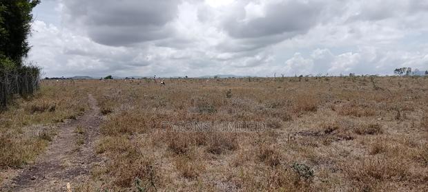 Vacant Plot for Sale at Malaa - thumbnail 5