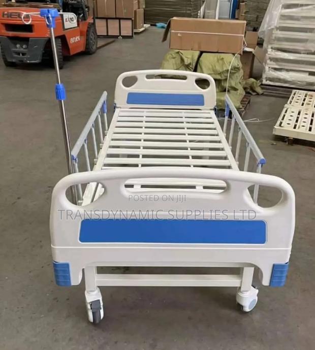 Imported Ward Bed
