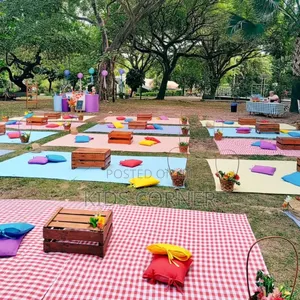 Picnic Vibes With A Touch Of Elegance