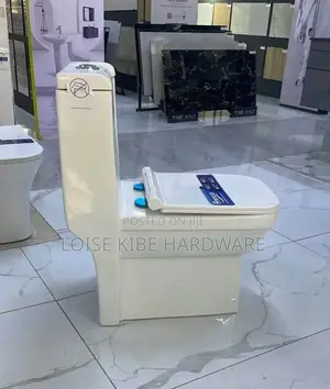New Shape Toilet Available (New Model)