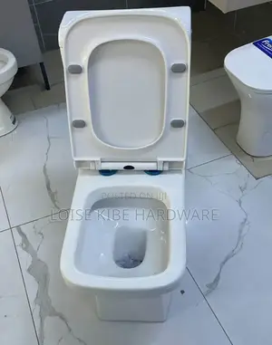 New Shape Toilet Available (New Model)