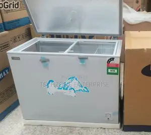 Ecomax Bd-219 219 Litres Chest Freezer CFC Free