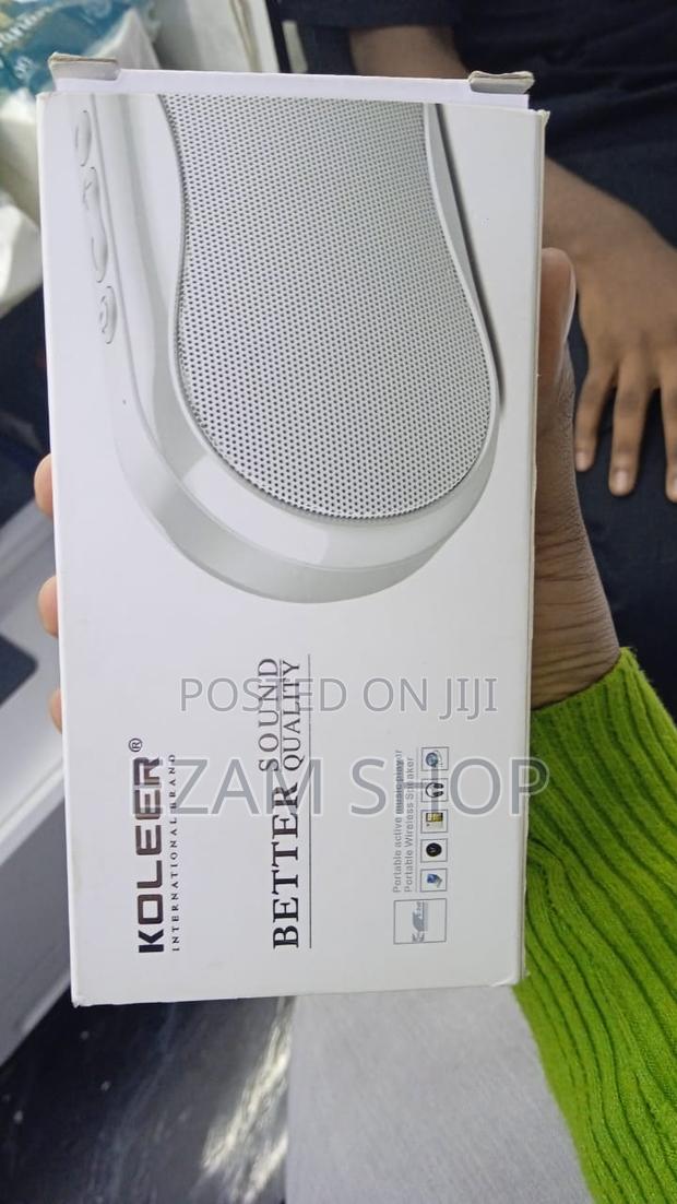 Koleer Portable Active Music Player / Wireless Speaker - main view