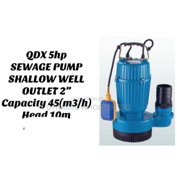 2x Inches Shlallow Well Sewage Pump