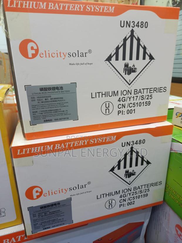 Felicity Lithium Ion Battery - main view