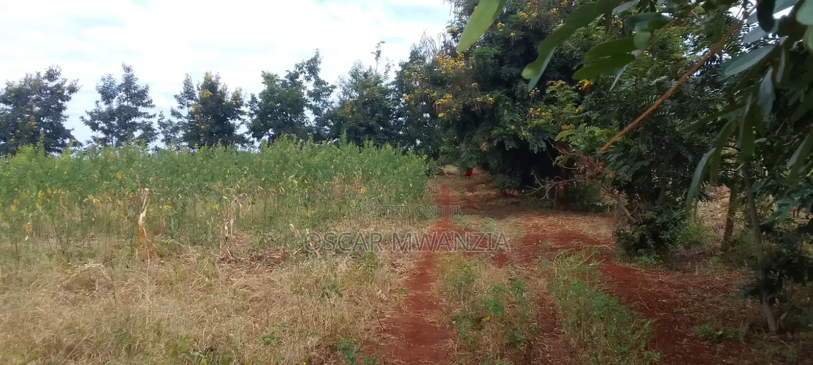 Land for Sale in Emali