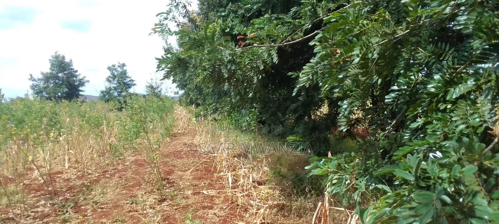Land for Sale in Emali