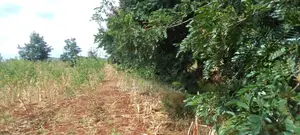 Land for Sale in Emali
