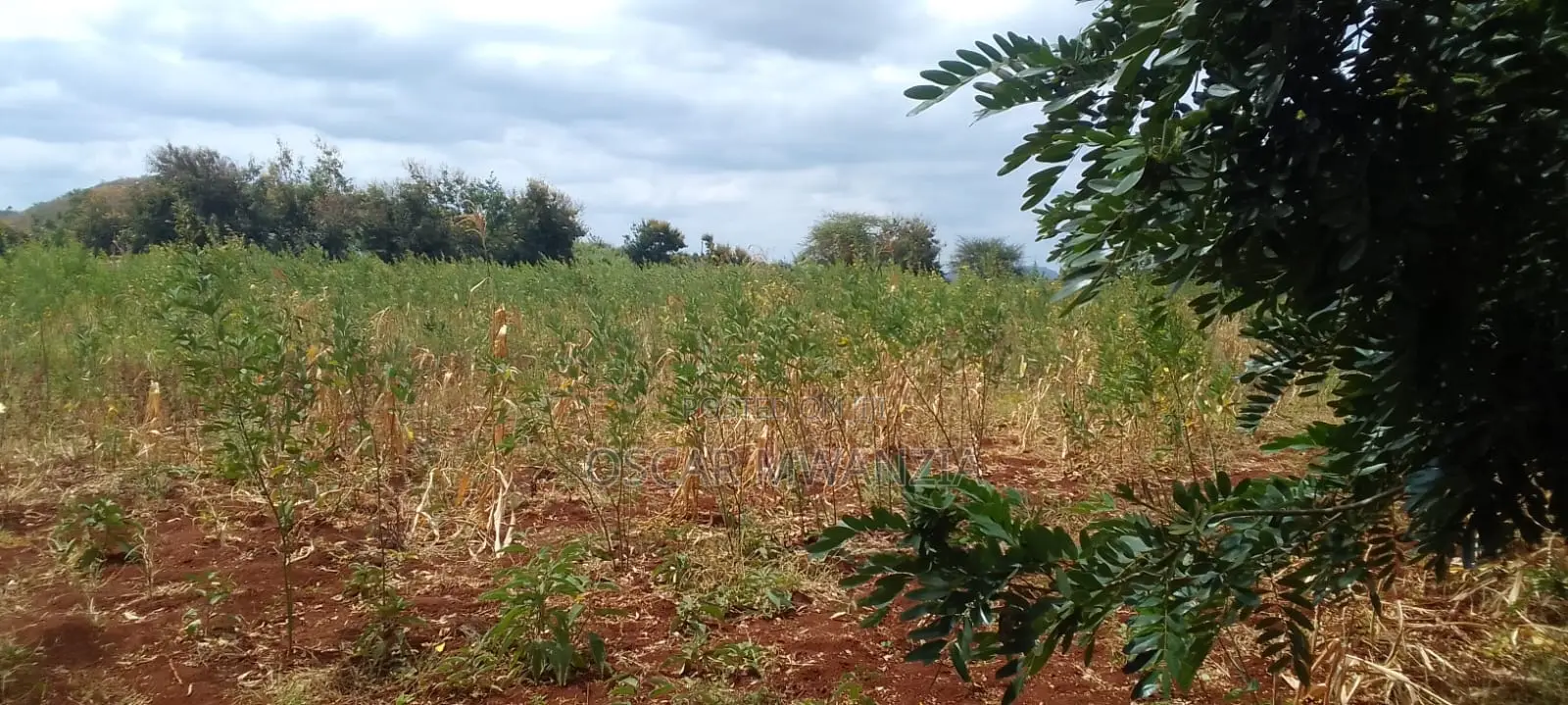 Land for Sale in Emali