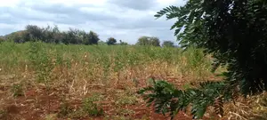 Land for Sale in Emali