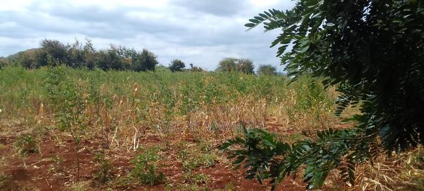 Land for Sale in Emali - thumbnail 5