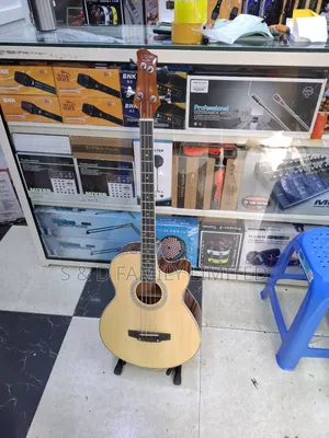 Sqoe 4 String Bass Semi-Acoustic Guitar