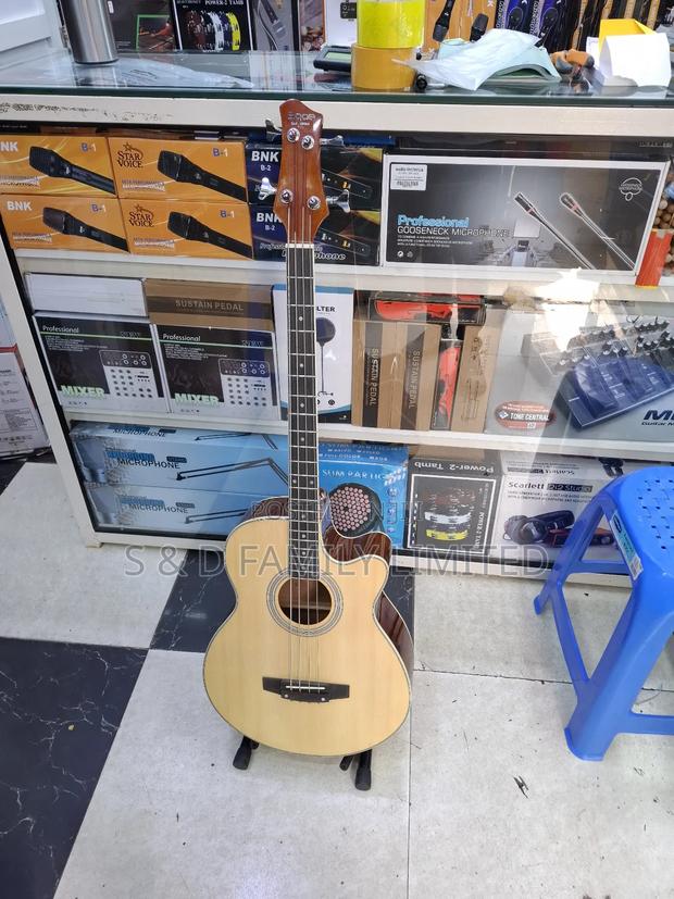 Sqoe 4 String Bass Semi-Acoustic Guitar - main view