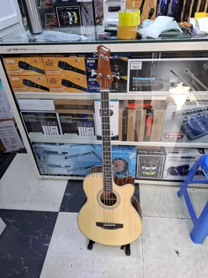 Sqoe 4 String Bass Semi-Acoustic Guitar