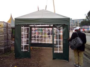 10by10 Gazebo Low Peak Tent - main view