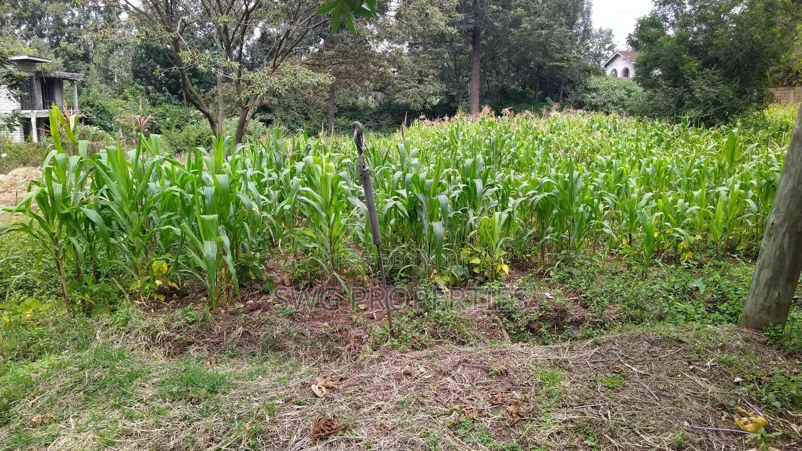 0.5 Acres for Sale in Karen - Commercial