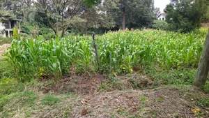 0.5 Acres for Sale in Karen - Commercial