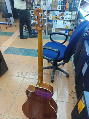 5 String Bass Semi-Acoustic Guitar