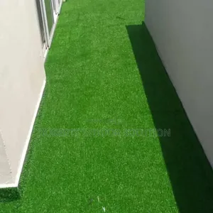 Best Recommended 25mm Grass Carpet for Your Living Areas