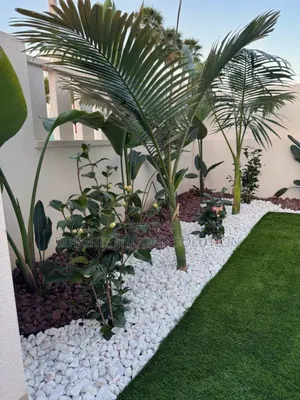 25mm Grass Carpet for Your Living Areas Give It a Shot