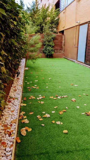 25mm Grass Carpet Gives Nature Look No More Watering