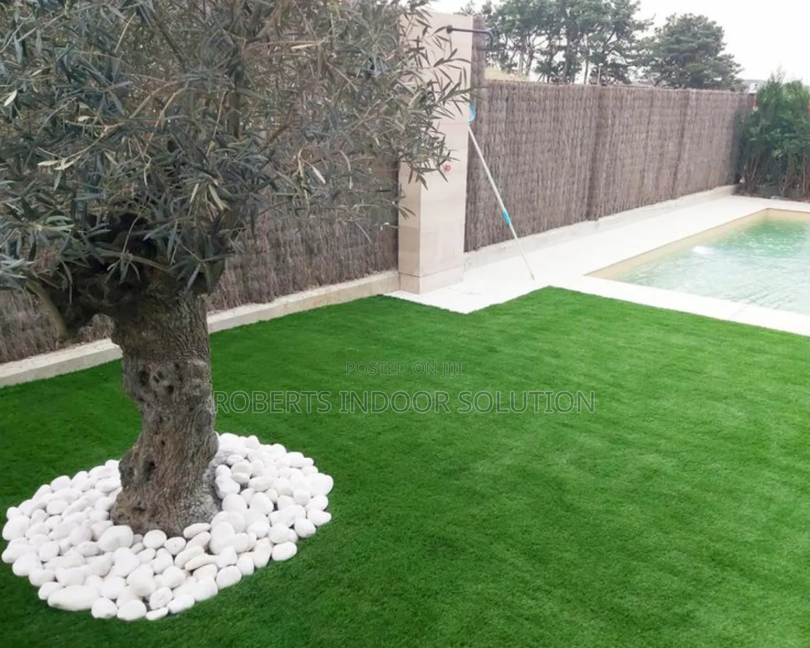 Ever Green 25mm Grass Carpet, Durable and Maintenance Free