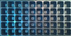 Nursery Tray - thumbnail 2