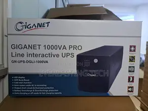 Giganet 1000va Line Interactive Ups With Simulated