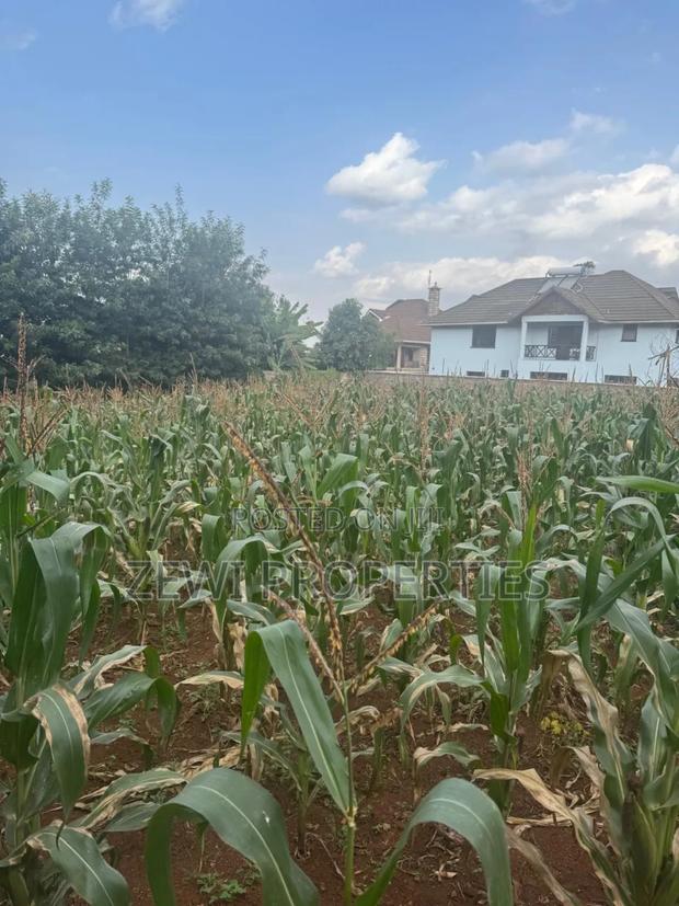 1/4 Acre Kerarapon - thumbnail 4