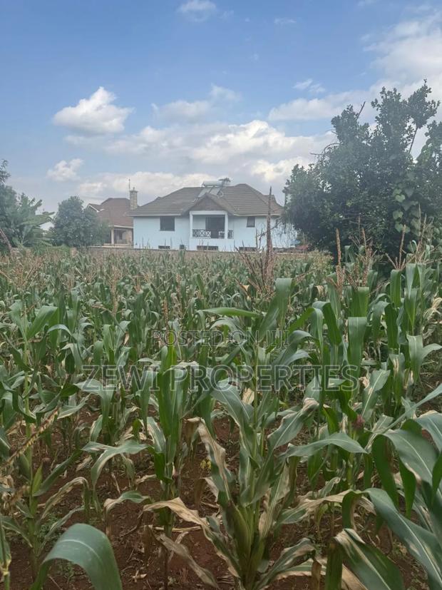 1/4 Acre Kerarapon - thumbnail 6